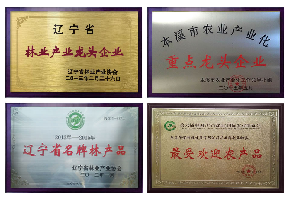 質(zhì)量管理體系認(rèn)證證書(shū)